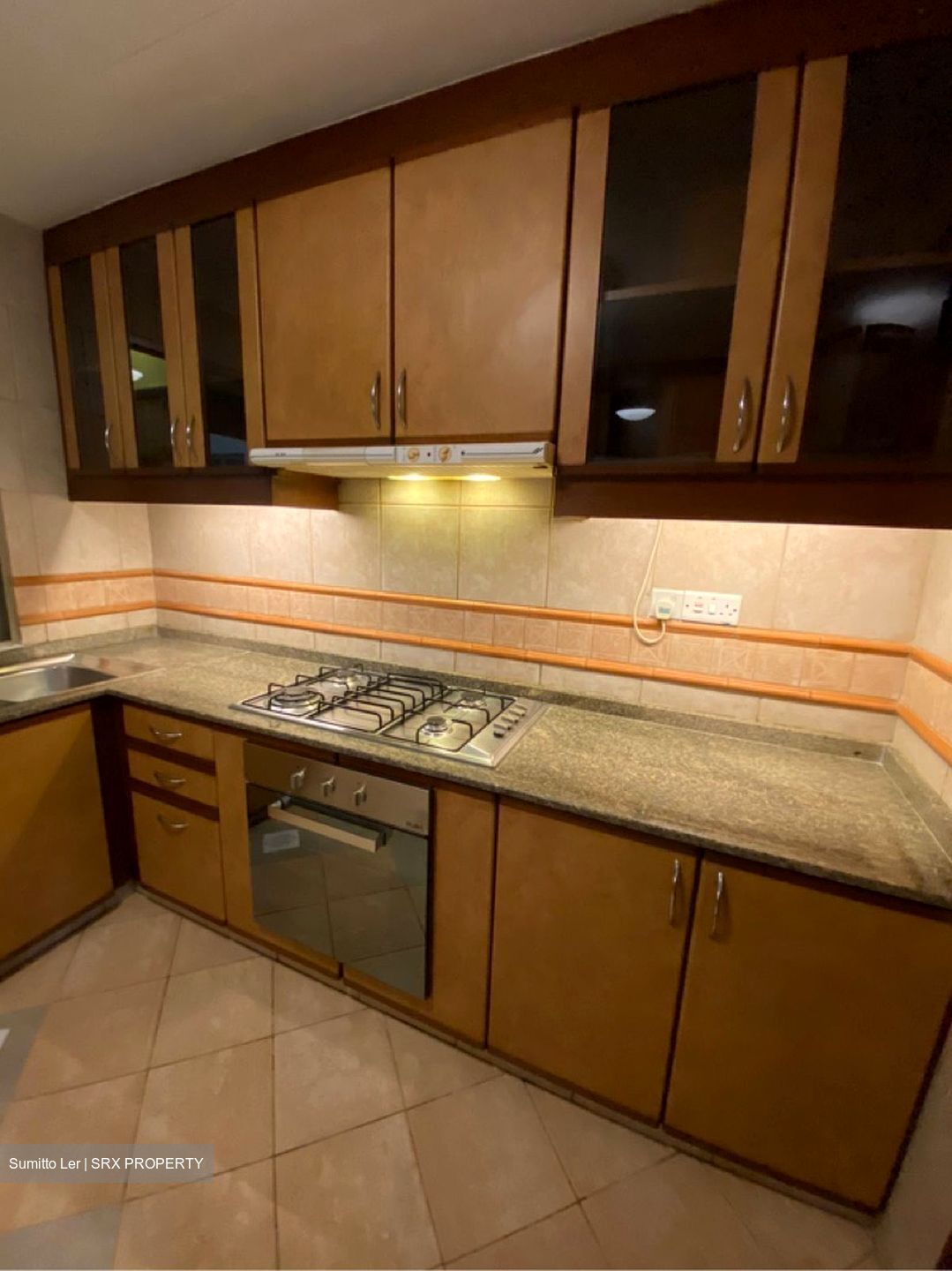 Cavenagh Lodge (D9), Apartment #622784611